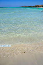 GriechenlandWeb.de Elafonisi Chania Kreta - Foto GriechenlandWeb.de
