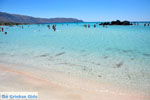 GriechenlandWeb Elafonisi Chania Kreta - Foto GriechenlandWeb.de