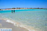 GriechenlandWeb.de Elafonisi (Elafonissi) Kreta - Griechenland - Foto 26 - Foto GriechenlandWeb.de
