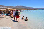 GriechenlandWeb Elafonisi Chania Kreta - Foto GriechenlandWeb.de