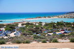 GriechenlandWeb Elafonisi (Elafonissi) Kreta - Griechenland - Foto 46 - Foto GriechenlandWeb.de