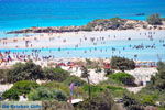 GriechenlandWeb Elafonisi (Elafonissi) Kreta - Griechenland - Foto 74 - Foto GriechenlandWeb.de