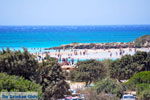 GriechenlandWeb.de Elafonisi Chania Kreta - Foto GriechenlandWeb.de