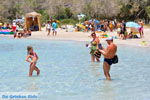 GriechenlandWeb Elafonisi Chania Kreta - Foto GriechenlandWeb.de