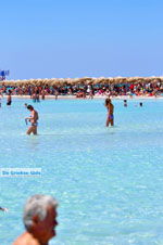 GriechenlandWeb.de Elafonisi (Elafonissi) Kreta - Griechenland - Foto 94 - Foto GriechenlandWeb.de
