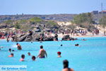 GriechenlandWeb Elafonisi Chania Kreta - Foto GriechenlandWeb.de
