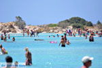 Foto Chania Kreta Kreta GriechenlandWeb.de - Foto GriechenlandWeb.de
