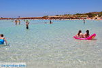 GriechenlandWeb Elafonisi Chania Kreta - Foto GriechenlandWeb.de