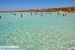 Foto Chania Kreta Kreta GriechenlandWeb.de - Foto GriechenlandWeb.de