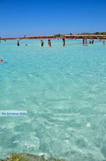 GriechenlandWeb Elafonisi Chania Kreta - Foto GriechenlandWeb.de