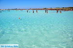 GriechenlandWeb Elafonisi Chania Kreta - Foto GriechenlandWeb.de