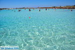 GriechenlandWeb Elafonisi Chania Kreta - Foto GriechenlandWeb.de