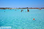 GriechenlandWeb Elafonisi Chania Kreta - Foto GriechenlandWeb.de