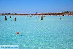 GriechenlandWeb Elafonisi Chania Kreta - Foto GriechenlandWeb.de