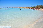 GriechenlandWeb.de Elafonisi Chania Kreta - Foto GriechenlandWeb.de