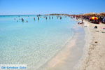 GriechenlandWeb.de Elafonisi Chania Kreta - Foto GriechenlandWeb.de