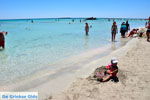 GriechenlandWeb.de Elafonisi Chania Kreta - Foto GriechenlandWeb.de