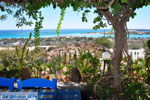 Foto Chania Kreta Kreta GriechenlandWeb.de - Foto GriechenlandWeb.de