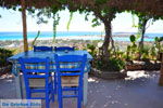 GriechenlandWeb.de Elafonisi Chania Kreta - Foto GriechenlandWeb.de
