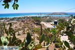 GriechenlandWeb.de Elafonisi Chania Kreta - Foto GriechenlandWeb.de