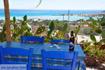 GriechenlandWeb.de Elafonisi Chania Kreta - Foto GriechenlandWeb.de