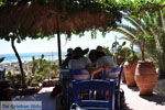 GriechenlandWeb.de Elafonisi (Elafonissi) Kreta - Griechenland - Foto 178 - Foto GriechenlandWeb.de