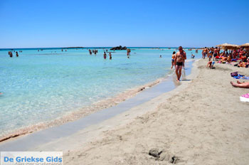Elafonisi (Elafonissi) Kreta - Griekenland - Foto 5 - Foto van https://www.grieksegids.nl/fotos/elafonisi/normaal/elafonisi-kreta-005.jpg