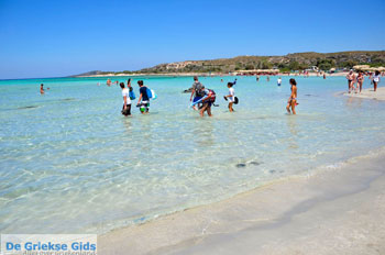 Elafonisi (Elafonissi) Kreta - Griekenland - Foto 11 - Foto van https://www.grieksegids.nl/fotos/elafonisi/normaal/elafonisi-kreta-011.jpg
