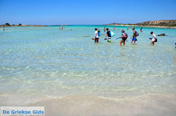 Elafonisi (Elafonissi) Kreta - Griekenland - Foto 13 - Foto van https://www.grieksegids.nl/fotos/elafonisi/normaal/elafonisi-kreta-013.jpg