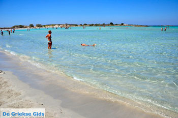 Elafonisi (Elafonissi) Kreta - Griekenland - Foto 14 - Foto van https://www.grieksegids.nl/fotos/elafonisi/normaal/elafonisi-kreta-014.jpg