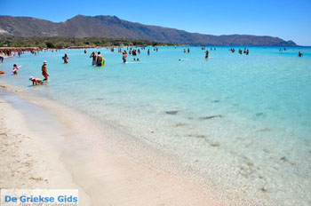 Elafonisi (Elafonissi) Kreta - Griekenland - Foto 24 - Foto van https://www.grieksegids.nl/fotos/elafonisi/normaal/elafonisi-kreta-024.jpg