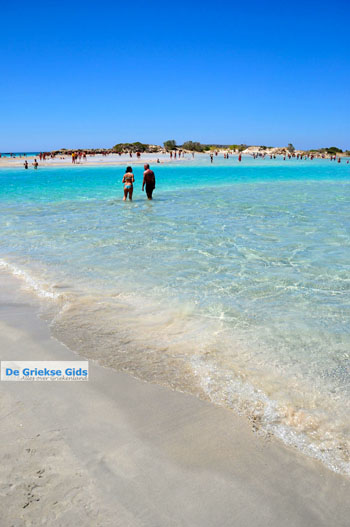 Elafonisi (Elafonissi) Kreta - Griekenland - Foto 25 - Foto van https://www.grieksegids.nl/fotos/elafonisi/normaal/elafonisi-kreta-025.jpg