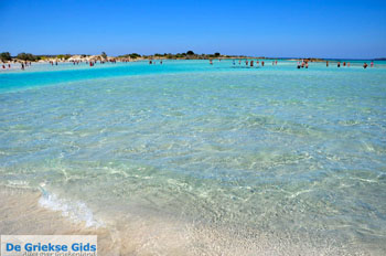Elafonisi (Elafonissi) Kreta - Griekenland - Foto 27 - Foto van https://www.grieksegids.nl/fotos/elafonisi/normaal/elafonisi-kreta-027.jpg