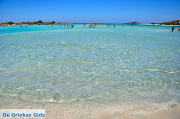 Elafonisi (Elafonissi) Kreta - Griekenland - Foto 28 - Foto van https://www.grieksegids.nl/fotos/elafonisi/normaal/elafonisi-kreta-028.jpg