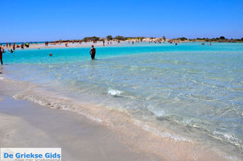 Elafonisi (Elafonissi) Kreta - Griekenland - Foto 30 - Foto van https://www.grieksegids.nl/fotos/elafonisi/normaal/elafonisi-kreta-030.jpg