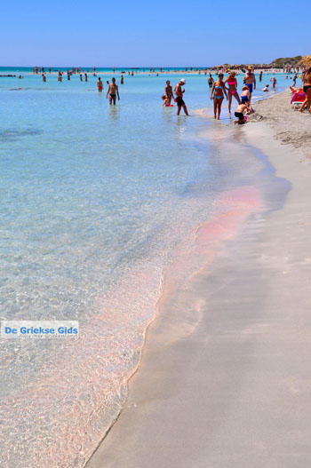 Elafonisi (Elafonissi) Kreta - Griekenland - Foto 35 - Foto van https://www.grieksegids.nl/fotos/elafonisi/normaal/elafonisi-kreta-035.jpg