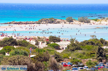 Elafonisi (Elafonissi) Kreta - Griekenland - Foto 65 - Foto van https://www.grieksegids.nl/fotos/elafonisi/normaal/elafonisi-kreta-065.jpg