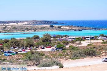 Elafonisi (Elafonissi) Kreta - Griekenland - Foto 84 - Foto van https://www.grieksegids.nl/fotos/elafonisi/normaal/elafonisi-kreta-084.jpg