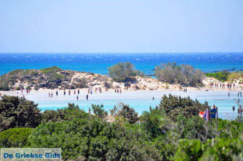 Elafonisi (Elafonissi) Kreta - Griekenland - Foto 85 - Foto van https://www.grieksegids.nl/fotos/elafonisi/normaal/elafonisi-kreta-085.jpg
