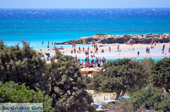 Elafonisi (Elafonissi) Kreta - Griekenland - Foto 87 - Foto van https://www.grieksegids.nl/fotos/elafonisi/normaal/elafonisi-kreta-087.jpg