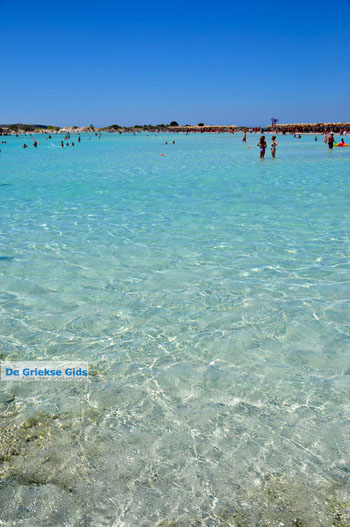 Elafonisi (Elafonissi) Kreta - Griekenland - Foto 110 - Foto van https://www.grieksegids.nl/fotos/elafonisi/normaal/elafonisi-kreta-110.jpg