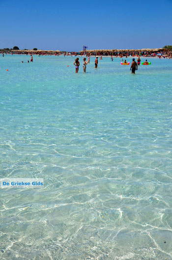 Elafonisi (Elafonissi) Kreta - Griekenland - Foto 111 - Foto van https://www.grieksegids.nl/fotos/elafonisi/normaal/elafonisi-kreta-111.jpg