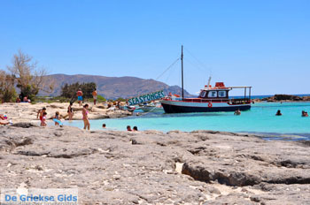 Elafonisi (Elafonissi) Kreta - Griekenland - Foto 117 - Foto van https://www.grieksegids.nl/fotos/elafonisi/normaal/elafonisi-kreta-117.jpg