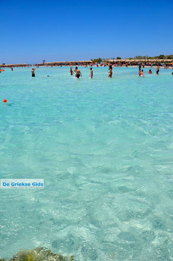 Elafonisi (Elafonissi) Kreta - Griekenland - Foto 121 - Foto van https://www.grieksegids.nl/fotos/elafonisi/normaal/elafonisi-kreta-121.jpg