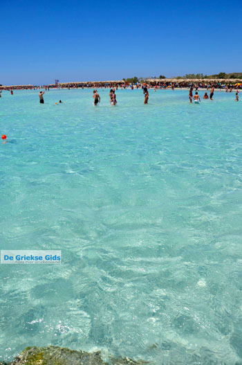 Elafonisi (Elafonissi) Kreta - Griekenland - Foto 122 - Foto van https://www.grieksegids.nl/fotos/elafonisi/normaal/elafonisi-kreta-122.jpg