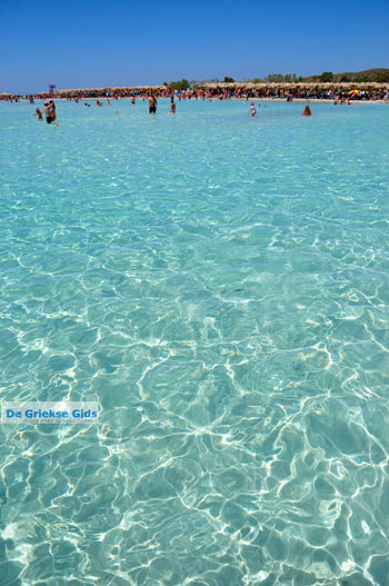 Elafonisi (Elafonissi) Kreta - Griekenland - Foto 124 - Foto van https://www.grieksegids.nl/fotos/elafonisi/normaal/elafonisi-kreta-124.jpg