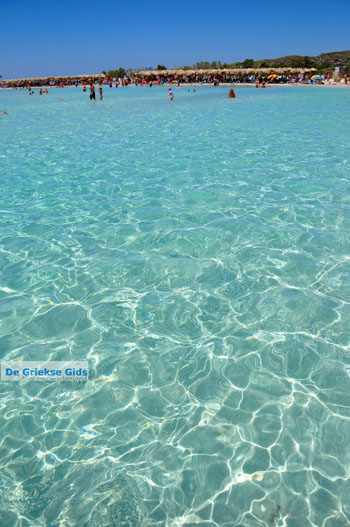 Elafonisi (Elafonissi) Kreta - Griekenland - Foto 125 - Foto van https://www.grieksegids.nl/fotos/elafonisi/normaal/elafonisi-kreta-125.jpg