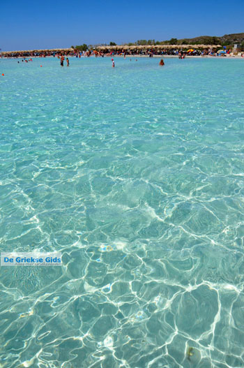 Elafonisi (Elafonissi) Kreta - Griekenland - Foto 126 - Foto van https://www.grieksegids.nl/fotos/elafonisi/normaal/elafonisi-kreta-126.jpg