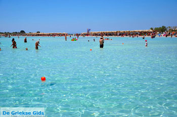Elafonisi (Elafonissi) Kreta - Griekenland - Foto 130 - Foto van https://www.grieksegids.nl/fotos/elafonisi/normaal/elafonisi-kreta-130.jpg