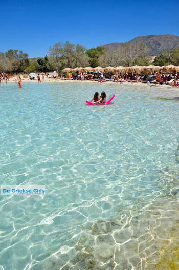 Elafonisi (Elafonissi) Kreta - Griekenland - Foto 132 - Foto van https://www.grieksegids.nl/fotos/elafonisi/normaal/elafonisi-kreta-132.jpg